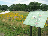 A walking path at the Olathe Pollinator Prairie, located near Kansas City, Kansas